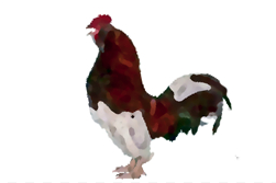 tips tender chicken