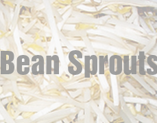 tip how to last bean sprouts longer