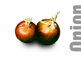tip how to cut onions without crying