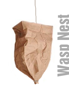 how to repel wasp