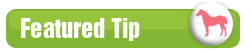 how to featured tip guide