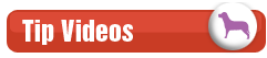 tips videos
