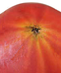 how to distinguish sweet tomato